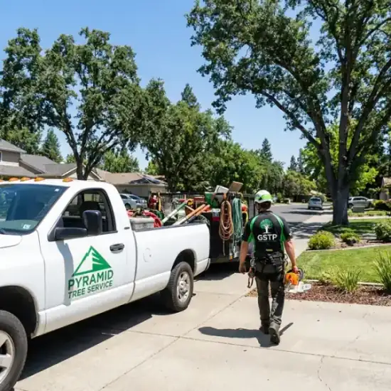 George Salinas Tree Service truck arriving at a Sacramento residential job
