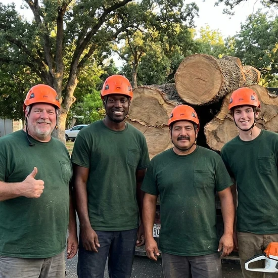 George Salinas Tree Service tree crew with a truck loaded with oak logs in Sacramento